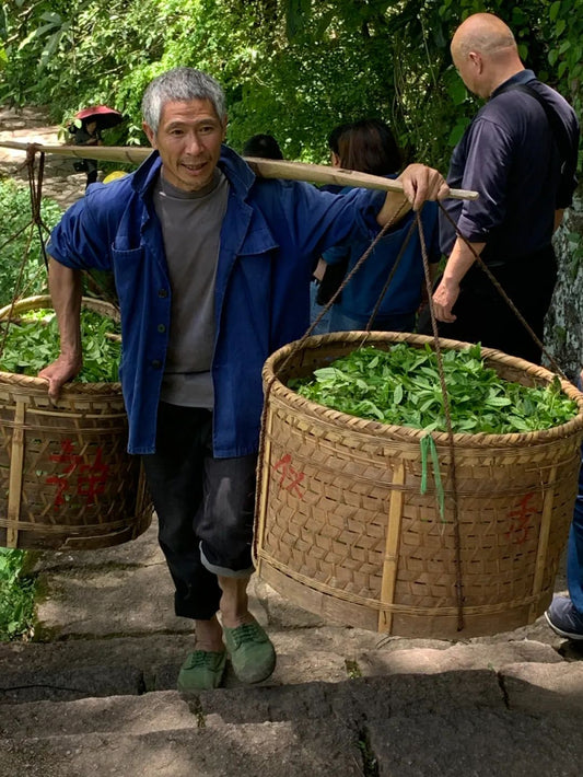 Wuyishan Tea - Themed Journey: A Sojourn into the Heart of Chinese Tea Culture